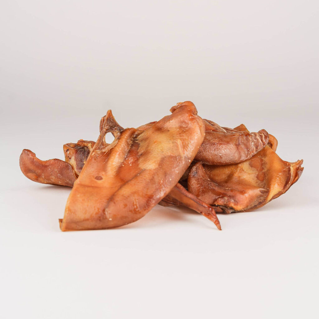 IrishRoverPigglieEars-52